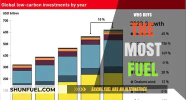 Exploring the Global Fuel Market: Top Consumers and Trends