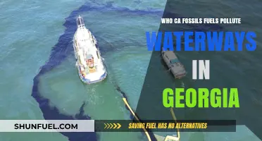 Georgia's Waterways: Fossil Fuels' Pollution Problem