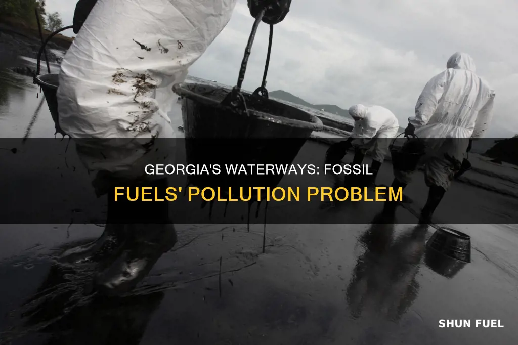 who ca fossils fuels pollute waterways in georgia