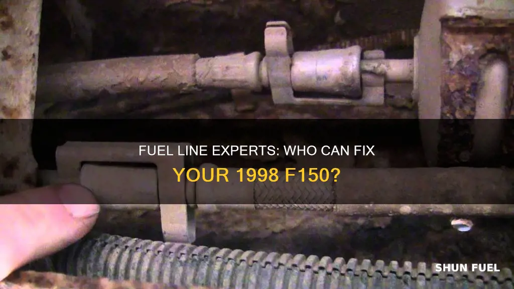 who cam make a 1998 f150 fuel lines