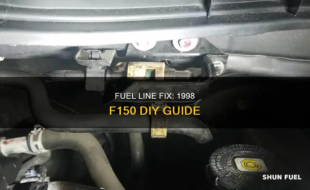 who cam make a 1998 f150 fuel lines