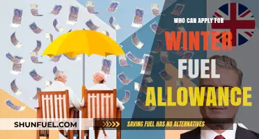 Winter Fuel Allowance Eligibility: Who Qualifies for the Payment?