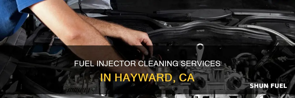 who can clean fuel injector near hayward ca