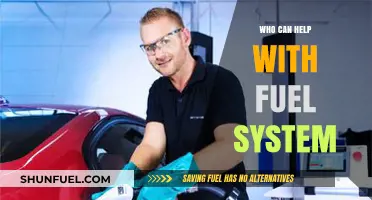 Expert Fuel System Assistance: Who Can Help You Efficiently?
