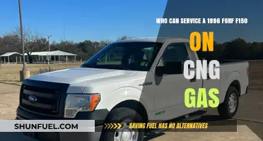 Expertise Needed: Servicing a 1996 Ford F-150 on CNG Gas