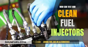 Testing and Cleaning Fuel Injectors: Who's Responsible?