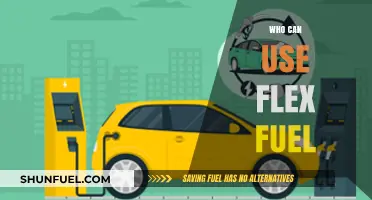 Who Can Use Flex Fuel: Eligibility and Vehicle Requirements Explained