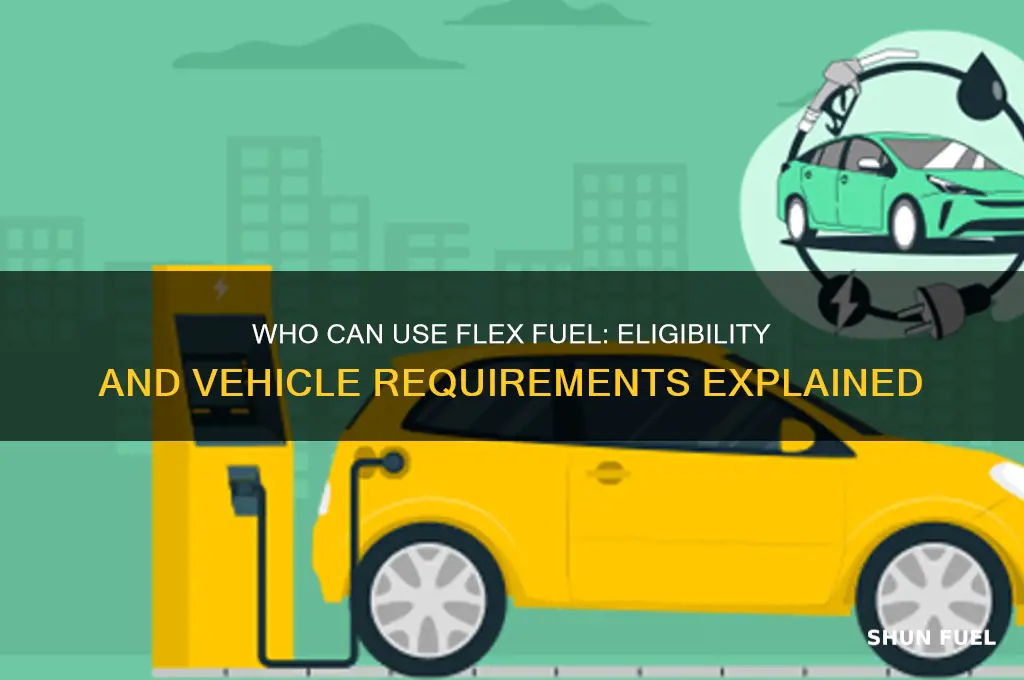 who can use flex fuel