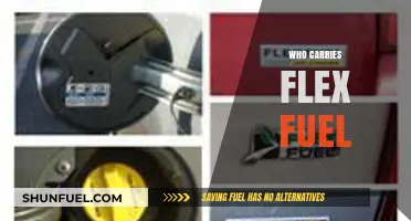 Discovering Flex Fuel Retailers: Who Carries This Eco-Friendly Option?