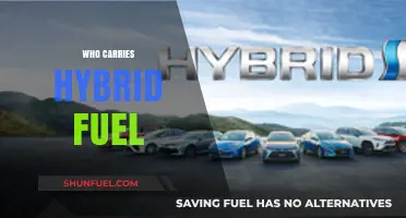 Exploring the Pioneers of Hybrid Fuel Technology