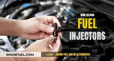 Cleaning Fuel Injectors: Who Does the Dirty Work?
