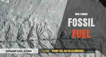 Unveiling the Origin: Who Coined the Term 'Fossil Fuel'?