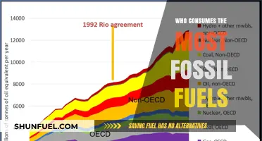 Global Fossil Fuel Consumption: Top Nations Leading Energy Demand