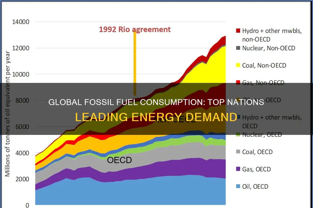 who consumes the most fossil fuels