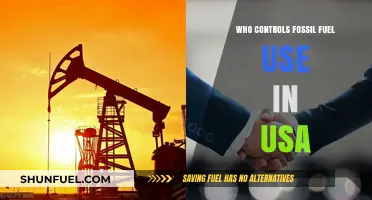 Who Really Controls Fossil Fuel Use in the USA?