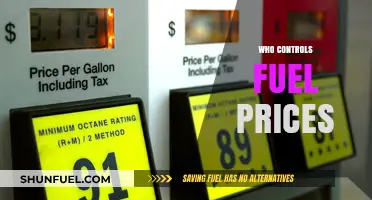 Decoding the Dynamics: Who Really Controls Fuel Prices?