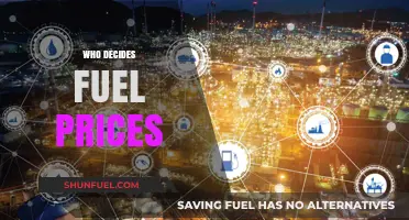 Understanding Fuel Prices: The Complex Web of Decision-Makers