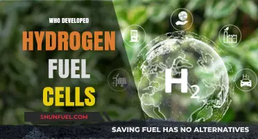 Innovators Behind Hydrogen Fuel Cells: A Historical Perspective