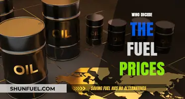 Who Decides the Fuel Prices: An Insight into the Global Oil Market