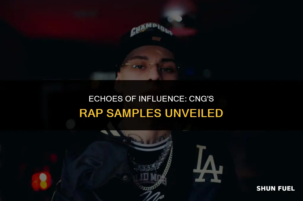 who did rap group cng sample from