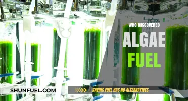 Unveiling the Pioneers: A Journey into Algae Fuel Discovery