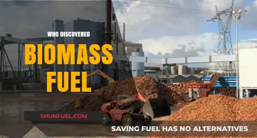 Unveiling the Origins: A Journey into the Discovery of Biomass Fuel