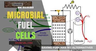 Unveiling the Pioneers: Who Discovered Microbial Fuel Cells?