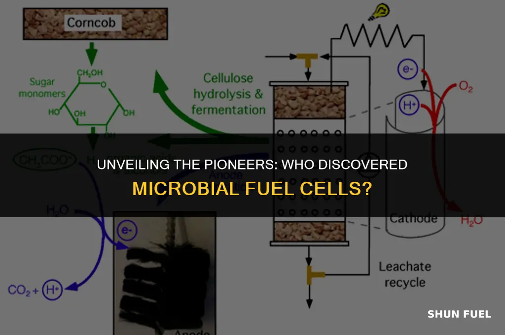who discovered microbial fuel cells