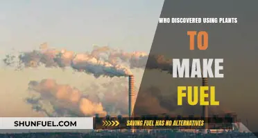 The Green Revolution: Who First Used Plants to Make Fuel?