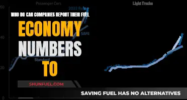 Car Fuel Economy: Who's the Boss?