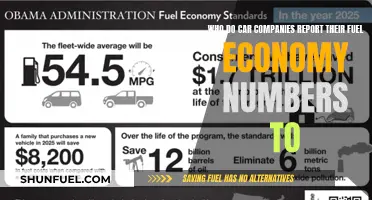 Fuel Economy: Car Companies Report to the Government