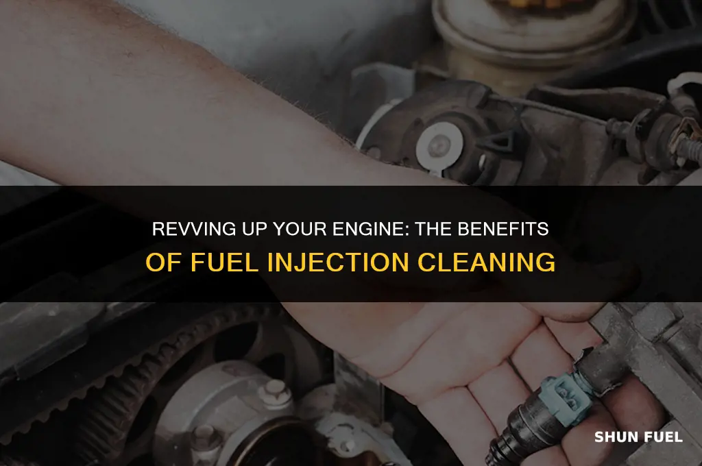 who does fuel injection cleaning