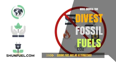 Who Drives the Divestment Movement: Unveiling Fossil Fuel Exit Leaders