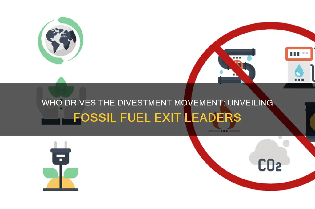 who drivea the divest fossil fuels