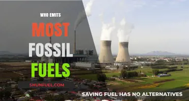 Top Fossil Fuel Emitters: Unveiling the Biggest Global Polluters