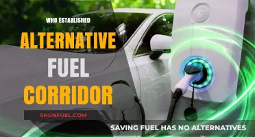 Pioneering Sustainability: The Birth of Alternative Fuel Corridors