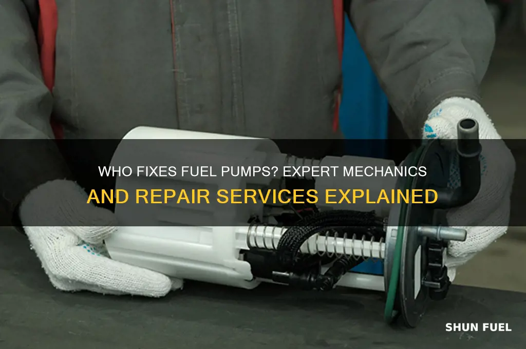 who fixes fuel pumps