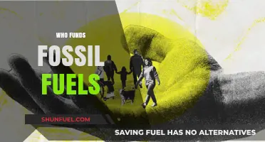 Unveiling the Financial Backers of the Fossil Fuel Industry