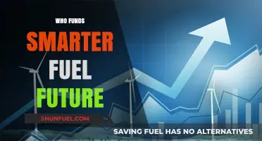 Who Funds a Smarter Fuel Future?