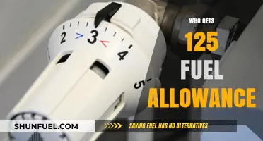 Decoding the 125 Fuel Allowance: Who Qualifies and How It Works