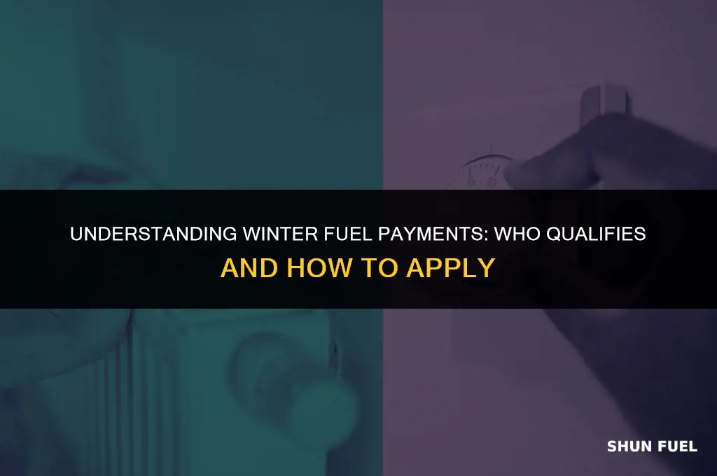 who gets winter fuel payment