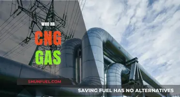 Exploring the Global Impact of Natural Gas: Who Has It and Who Needs It?