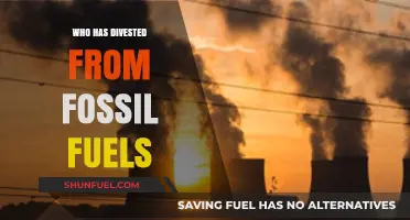 Global Shift: Institutions and Investors Divesting from Fossil Fuels