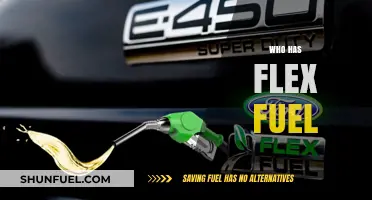 Exploring Flex Fuel Options: Who's Leading the Charge?