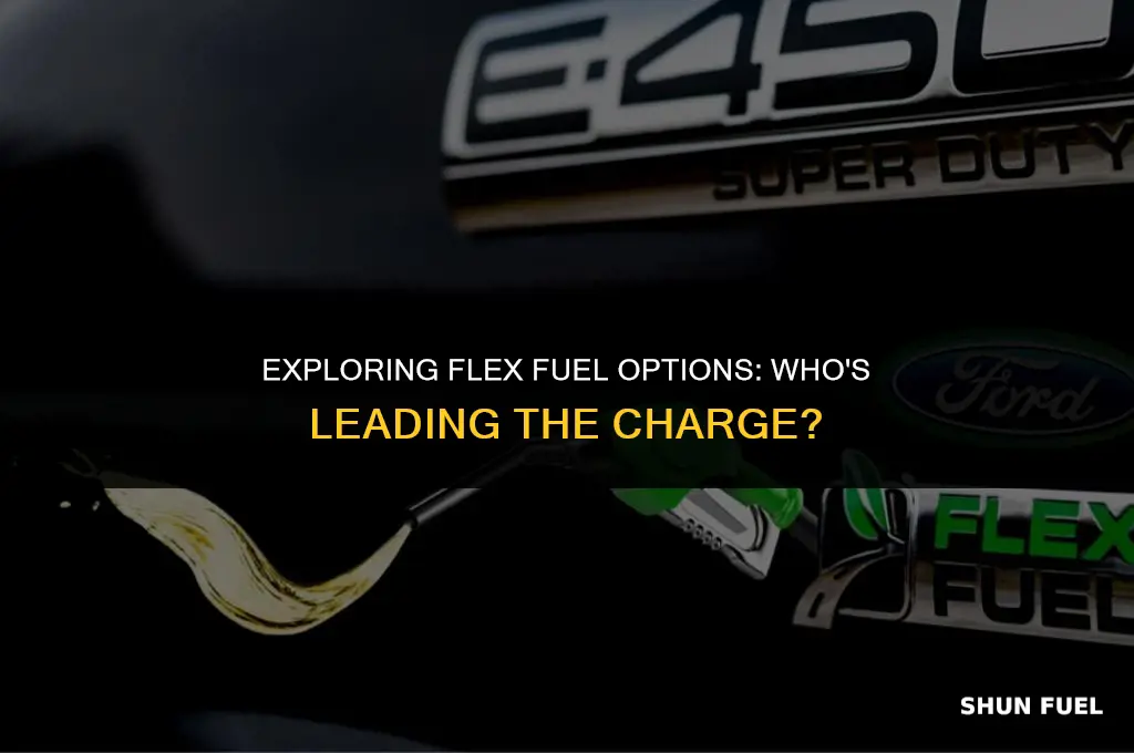 who has flex fuel