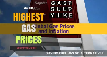 Global Gas Price Comparison: Which Country Pays the Most at the Pump?