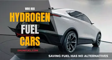 Hydrogen Fuel Cars: Who's Leading the Charge?