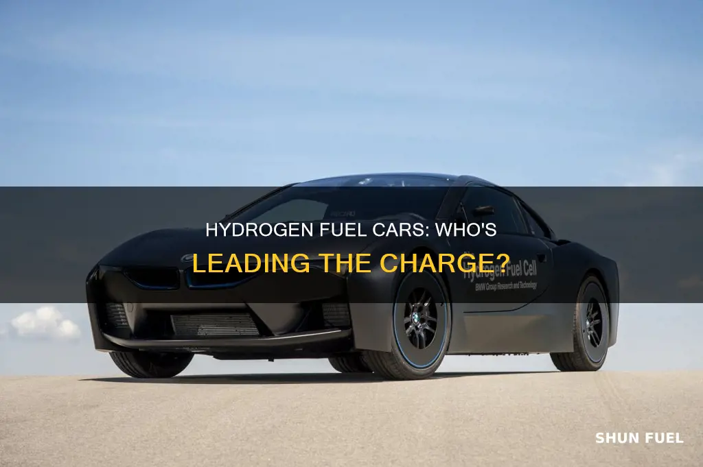 who has hydrogen fuel cars