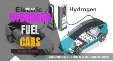 Hydrogen Fuel Cars: Who's Leading the Pack?
