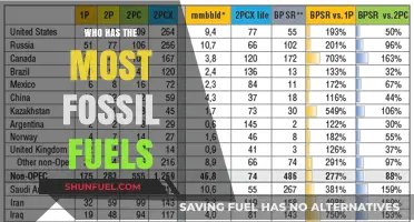 Global Fossil Fuel Reserves: Which Countries Hold the Largest Shares?